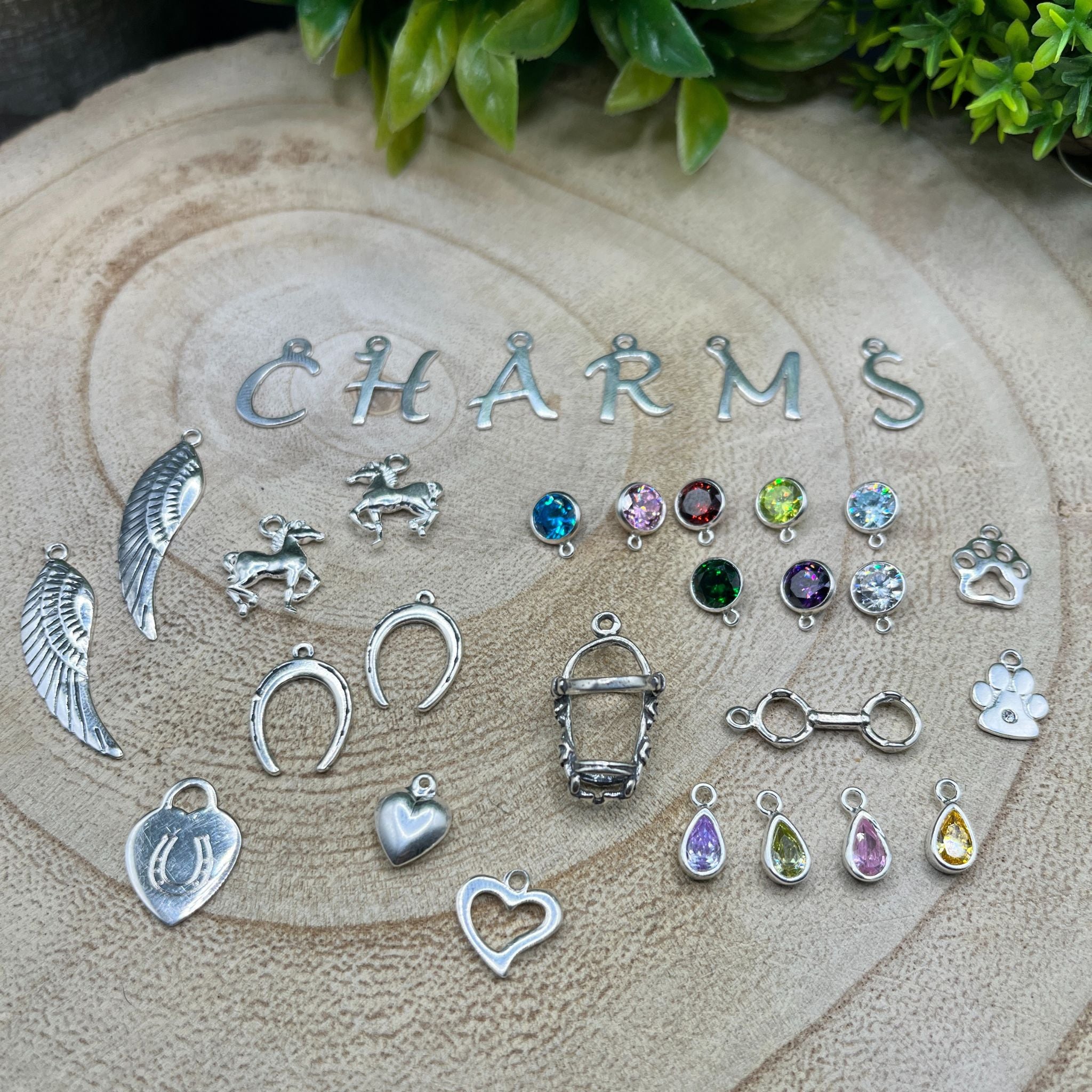 Collection of various charms on a wooden surface with 'CHARMS' text above.